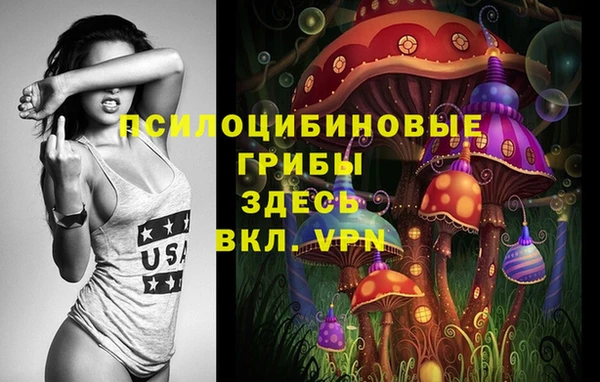 PSILOCYBIN Майский