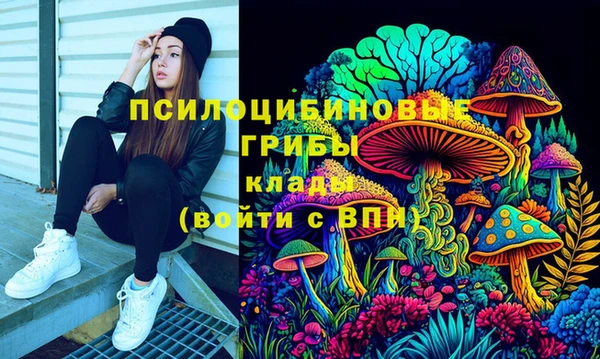 PSILOCYBIN Майский