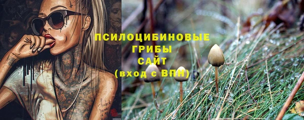 гашиш Магас