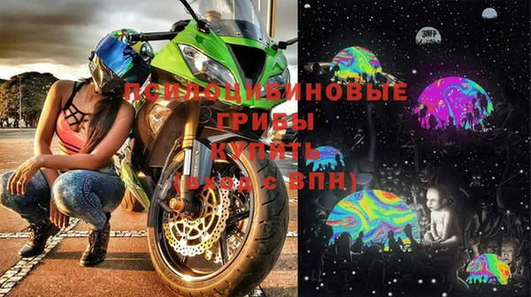 PSILOCYBIN Майский