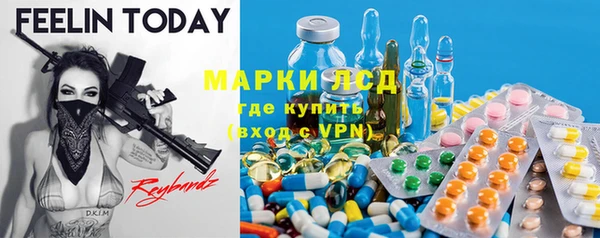 ГАЛЛЮЦИНОГЕННЫЕ ГРИБЫ Лабытнанги